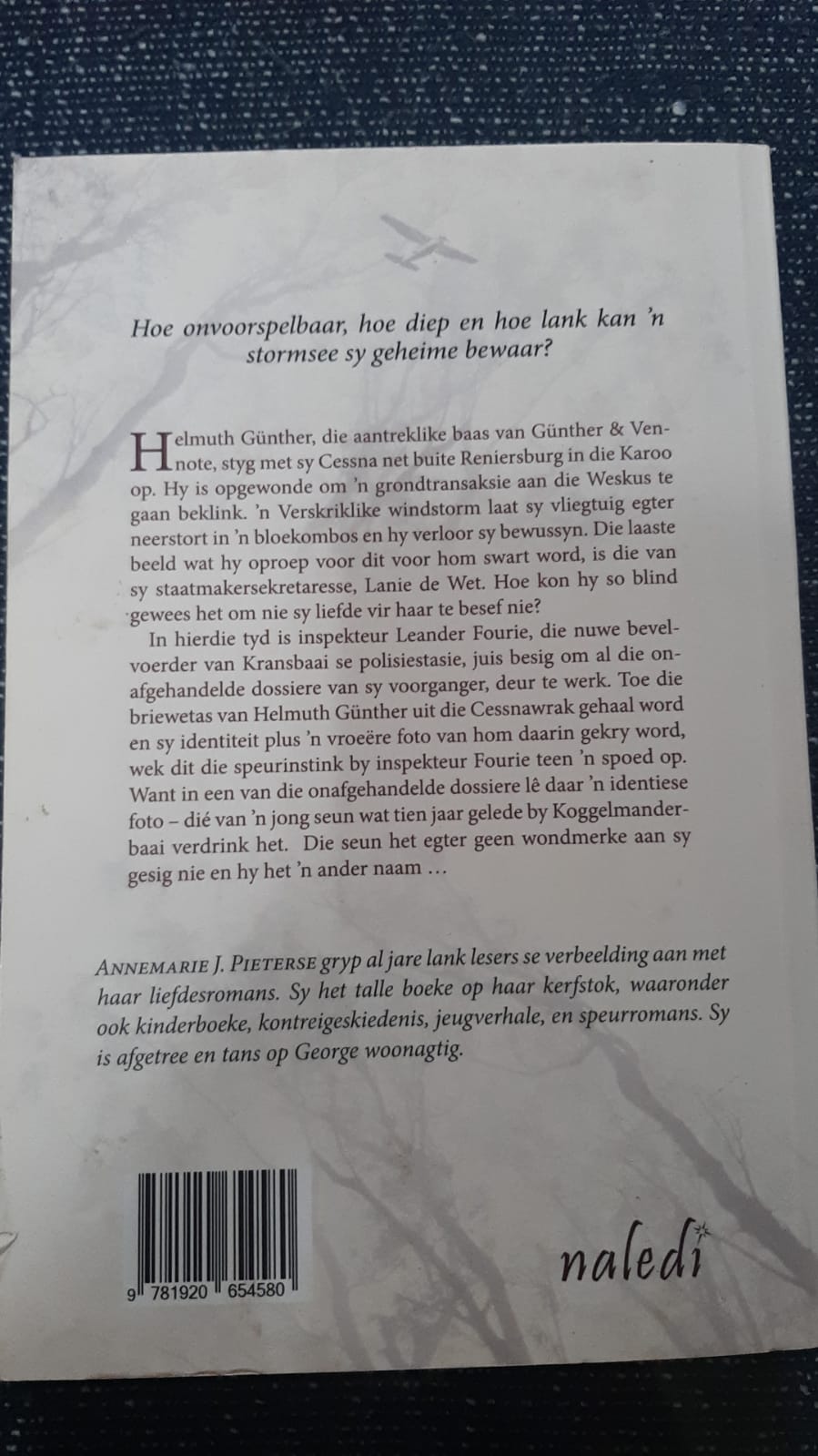Die stormsee swyg - Annemarie J. Pieterse - Image 3