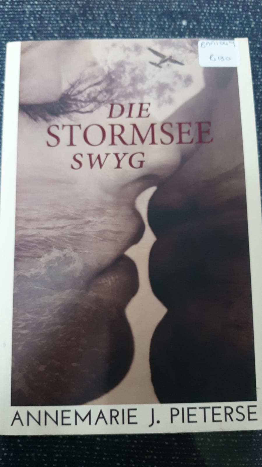 Die stormsee swyg - Annemarie J. Pieterse
