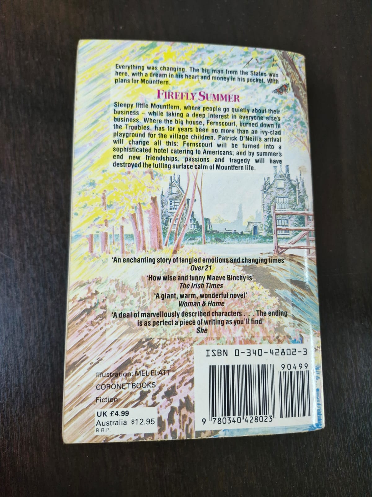 Firefly Summer - Maeve Binchy - Image 2
