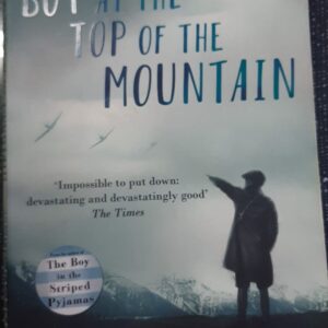 The Boy at the top of the Mountain - John Boyne