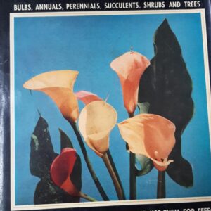 South African Wild Flowers for the Garden - Sima Eliovson